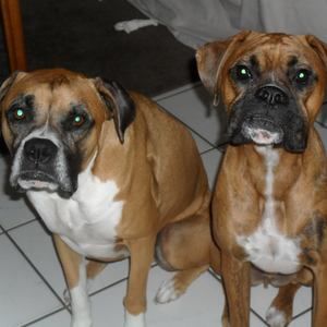 Meet your Posher, Renee